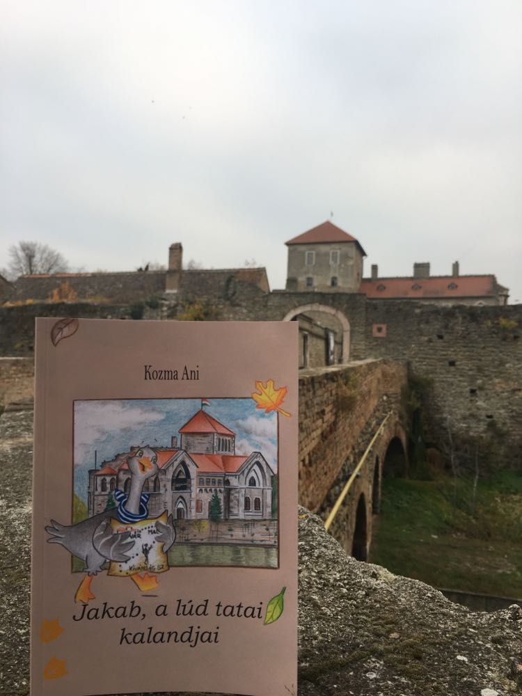 Mesekönyv ajánló