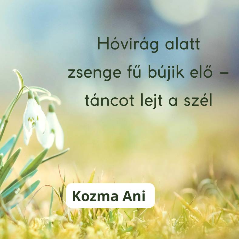 Haikuk gyerekeknek