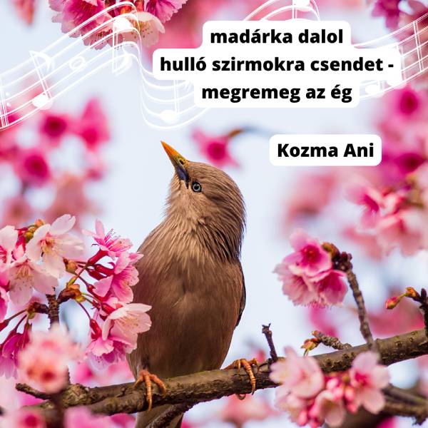 Haikuk