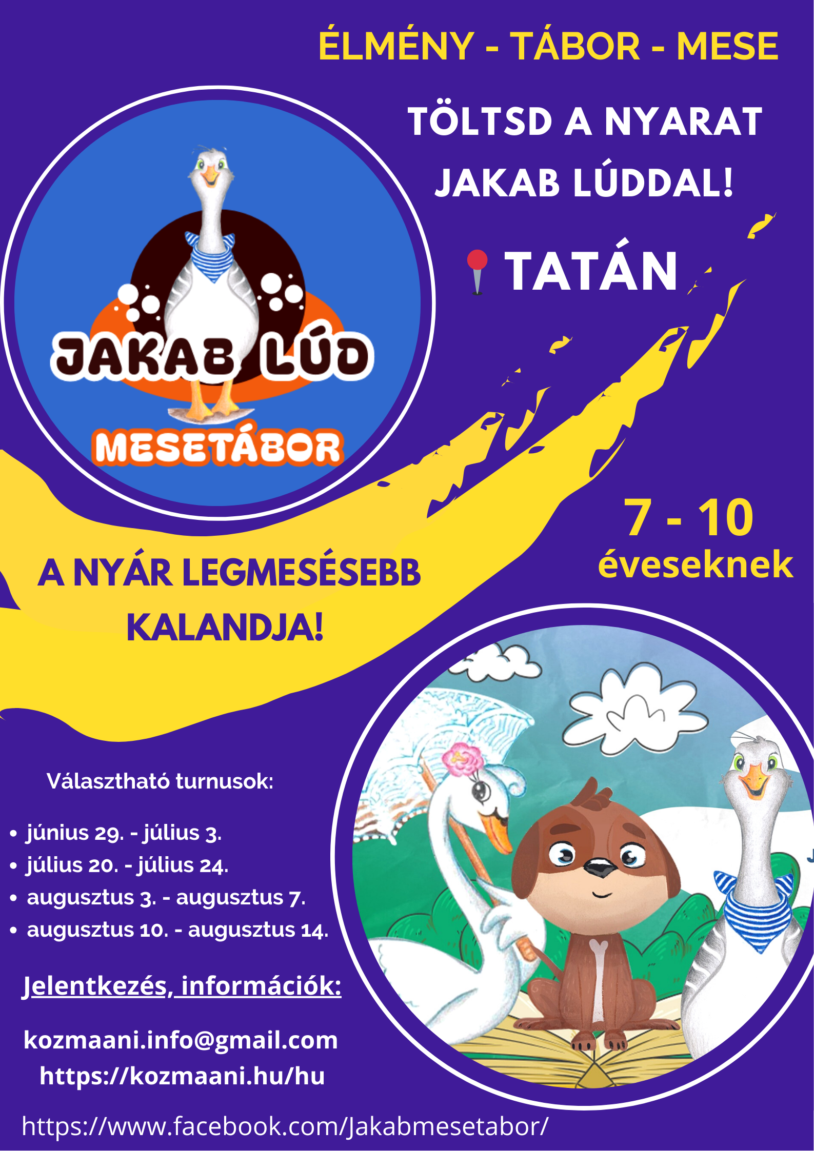 Mesetábor és Programok